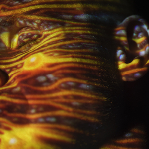 大肚子孕妇做爱视频
