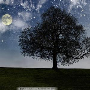 大肚子孕妇做爱视频
